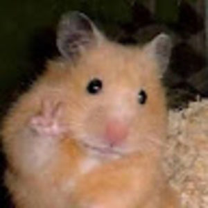 Meet your Posher, Alana